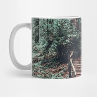 Muir Woods in California Mug